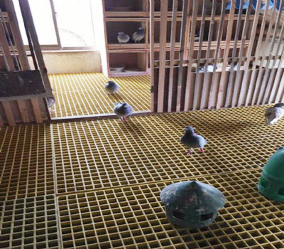 养殖玻璃钢格栅